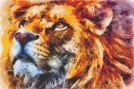(image for) Lion Wild Portrait